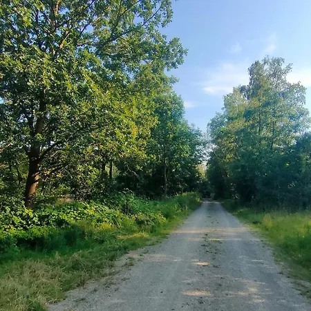 Homestay szállás Jan's Homestay! #kassel-lohfelden *