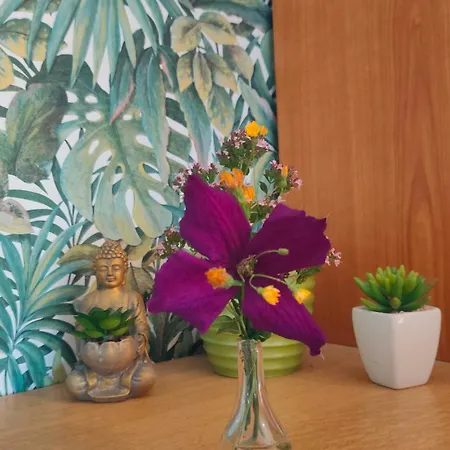 Jan's Homestay! #kassel-lohfelden * Lohfelden